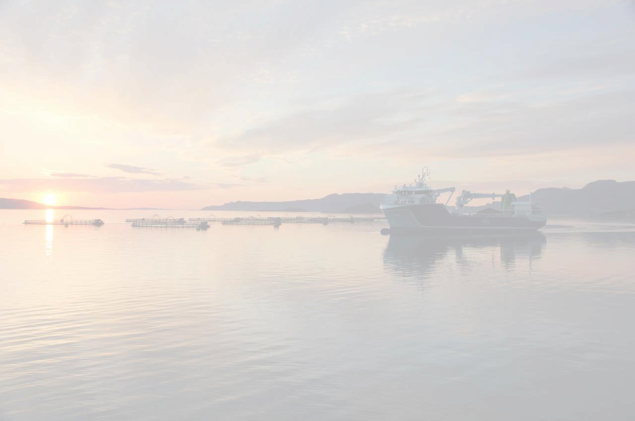 Fish farm pens at sunset in Norwegian fjord