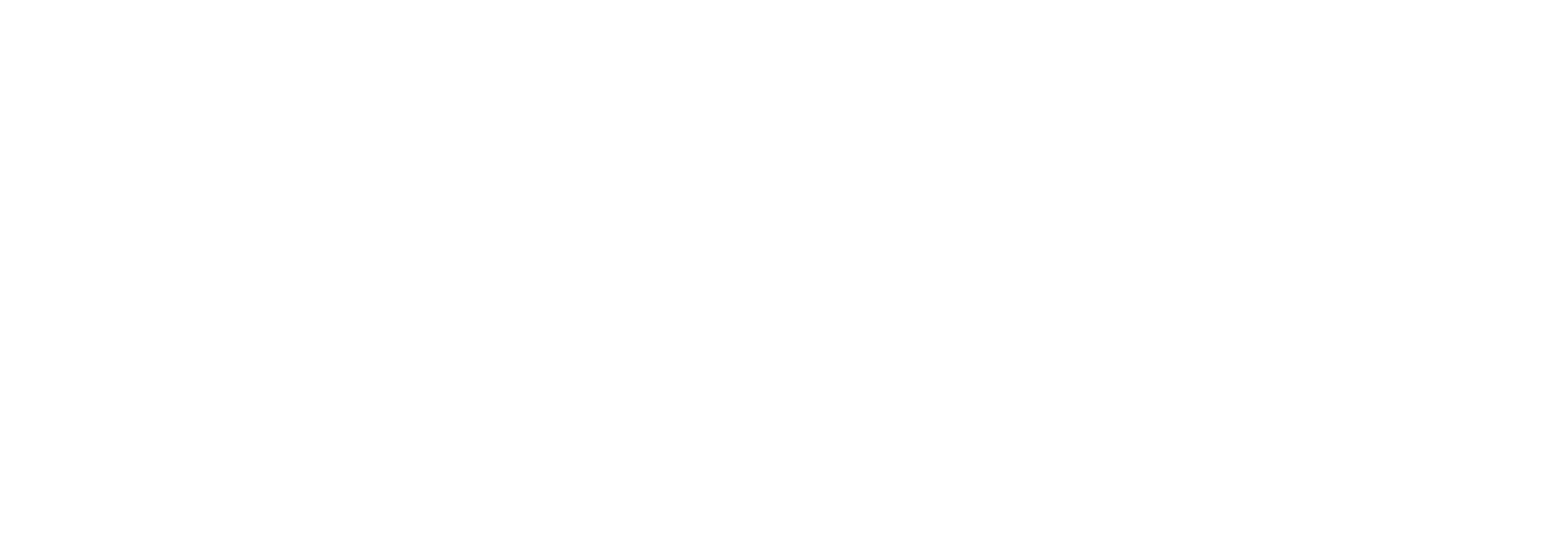 LiceDefence